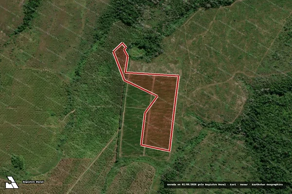 Imagem de satélite de Infração Ambiental em Santa Luzia - BA