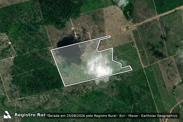 Imagem de satélite de Infração da Flora em Altamira - PA