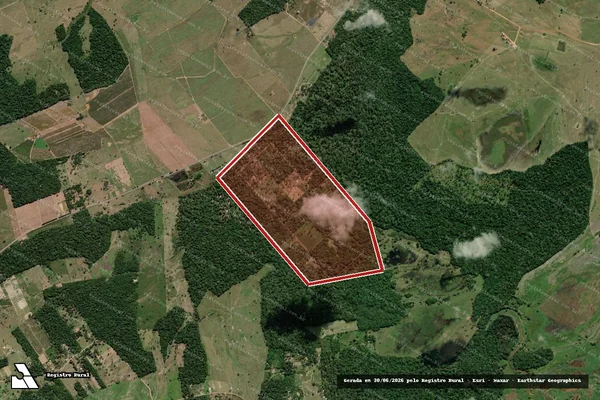 Imagem de satélite — Embargo IBAMA — Infração da Flora - Linhares/ES