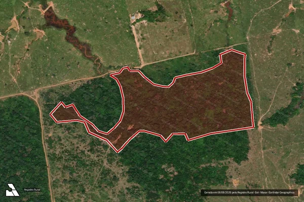 Imagem de satélite — Embargo IBAMA — Infração da Flora - Porto Velho/RO