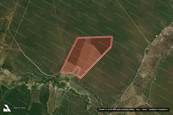 Imagem de satélite de Infração da Flora em Correntina - BA