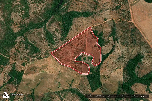 Imagem de satélite — Embargo IBAMA — Infração Ambiental - Palmeirante/TO