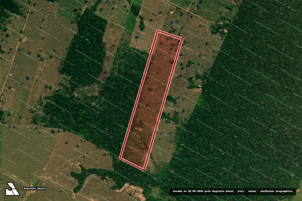 Imagem de satélite de Infração da Flora em Boca do Acre - AM