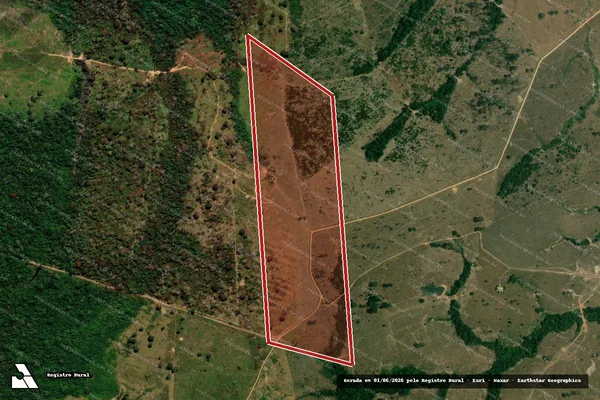Imagem de satélite de Desmatamento em Boca do Acre - AM