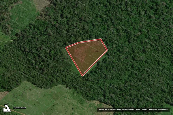 Imagem de satélite de Infração Ambiental em Rorainópolis - RR