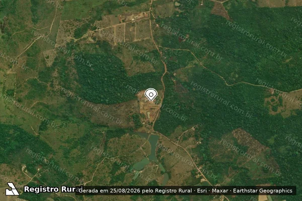 Imagem de satélite — Embargo IBAMA — Infração referente a Qualidade Ambiental — Rurópolis/PA