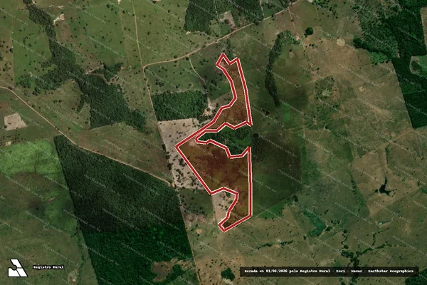 Imagem de satélite — Embargo IBAMA — Infração da Flora — Riachinho/TO