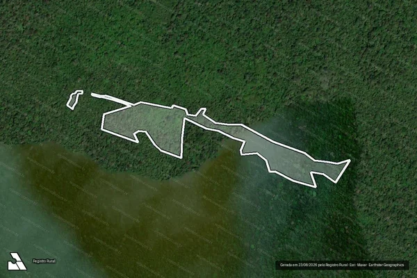 Imagem de satélite de Infração Ambiental em Rorainópolis - RR