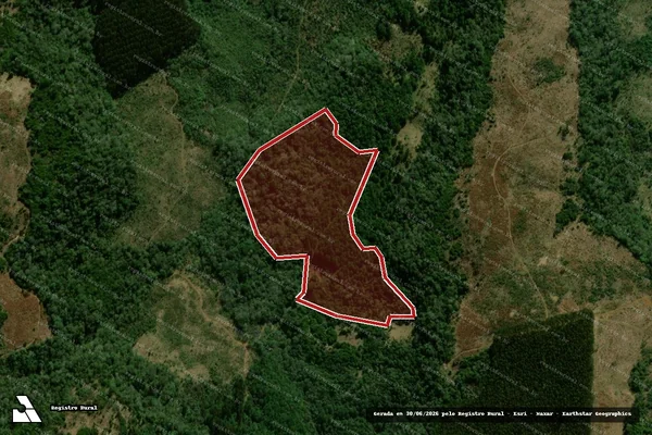 Imagem de satélite de Infração da Flora em Coronel Domingos Soares - PR