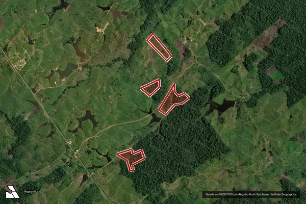 Imagem de satélite de Infração da Flora em Feijó - AC
