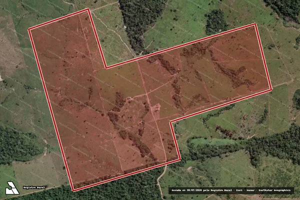 Imagem de satélite de Infração da Flora em Novo Progresso - PA