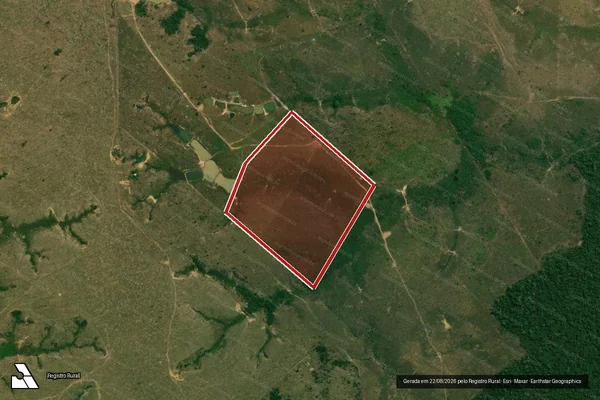 Imagem de satélite de Infração da Flora em Boca do Acre - AM