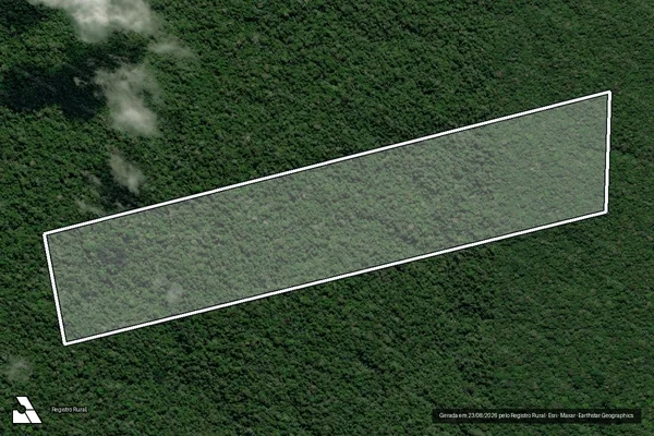 Imagem de satélite de Infração da Flora em Apuí - AM