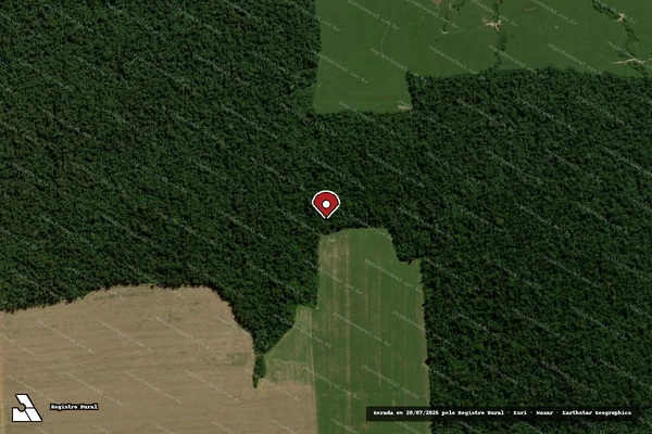 Imagem de satélite de Infração Ambiental em Paragominas - PA (marcador da localização)