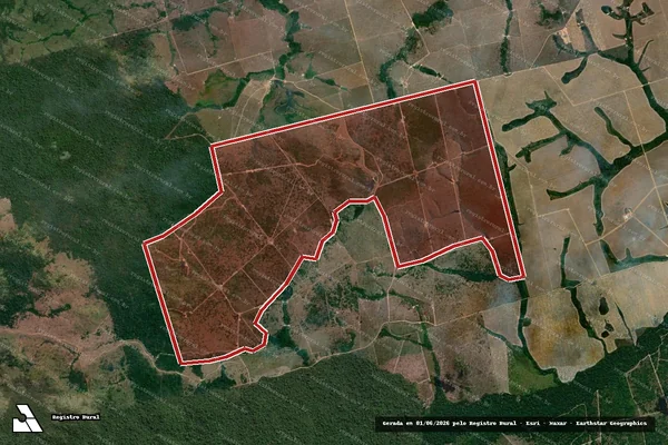 Imagem de satélite de Infração da Flora em Novo Progresso - PA