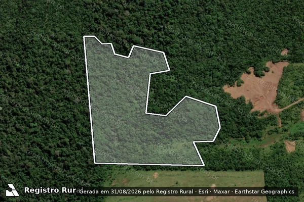Imagem de satélite de Infração da Flora em Itaituba - PA