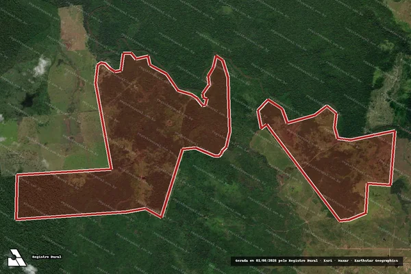 Imagem de satélite de Infração da Flora em Altamira - PA