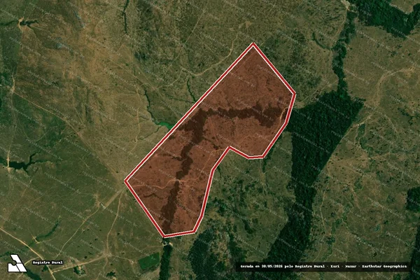 Imagem de satélite de Infração da Flora em Campo Novo de Rondônia - RO