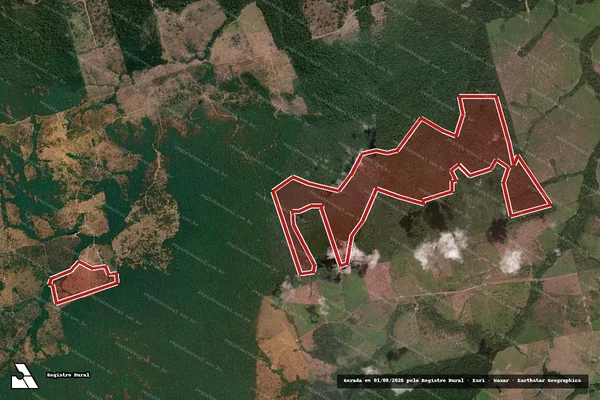 Imagem de satélite de Infração da Flora em Novo Progresso - PA