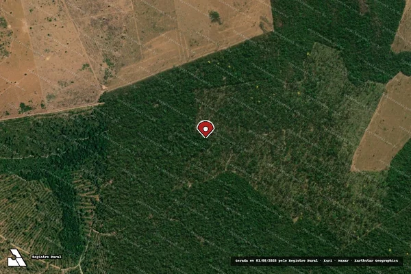 Imagem de satélite de Infração da Flora em Tabaporã - MT (marcador da localização)