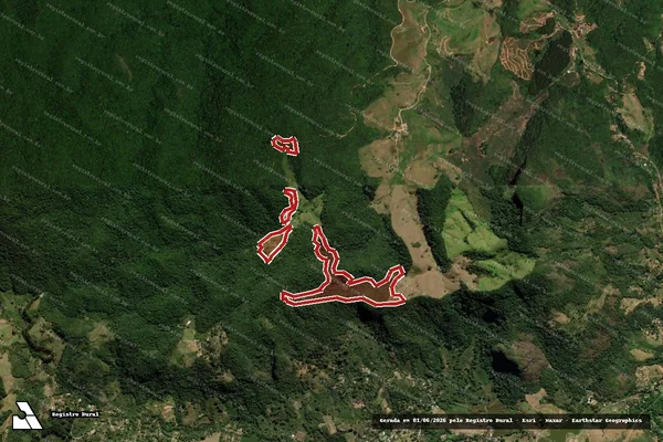 Imagem de satélite de Infração Ambiental em Cariacica - ES