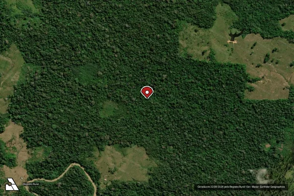 Imagem de satélite de Desmatamento em Boca do Acre - AM (marcador da localização)