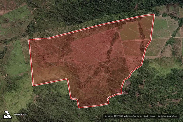Imagem de satélite de Infração Ambiental em Novo Progresso - PA