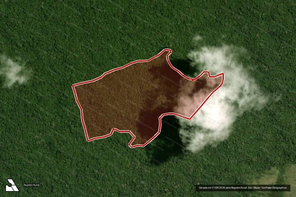 Imagem de satélite de Infração da Flora em Portel - PA