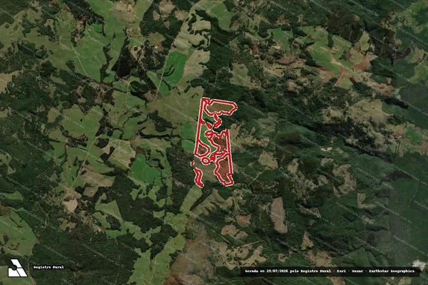 Imagem de satélite de Infração Ambiental em Coronel Domingos Soares - PR