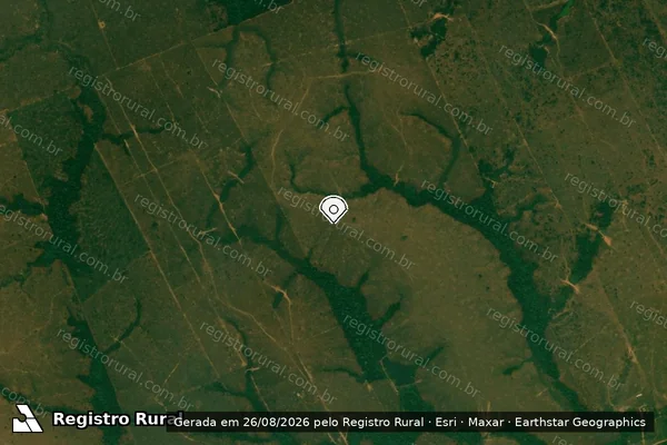 Imagem de satélite de Infração da Flora em Porto Velho - RO (marcador da localização)
