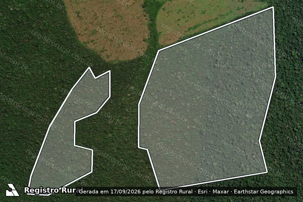 Imagem de satélite — Embargo IBAMA — Infração da Flora - Altamira/PA