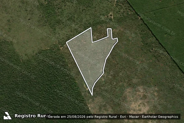 Imagem de satélite de Desmatamento em Ninheira - MG