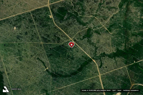 Imagem de satélite de Infração da Flora em Altamira - PA (marcador da localização)