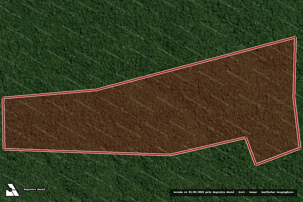 Imagem de satélite de Infração Ambiental em Portel - PA