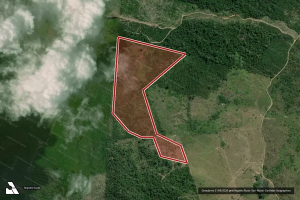 Imagem de satélite — Embargo IBAMA — Infração da Flora - Anapu/PA