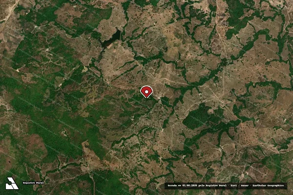 Imagem de satélite de Infração da Flora em Crixás - GO (marcador da localização)