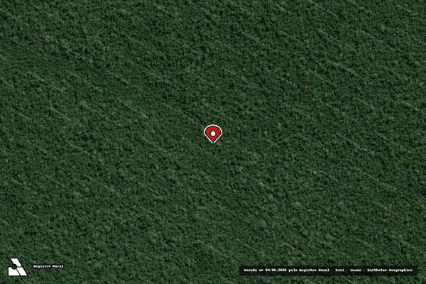 Imagem de satélite — Embargo IBAMA — Infração da Flora — Brasil Novo/PA