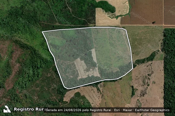Imagem de satélite de Infração da Flora em Altamira - PA