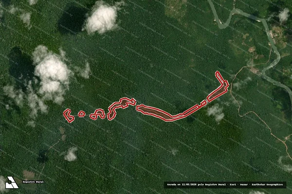 Imagem de satélite de Infração Ambiental em Prainha - PA