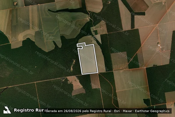 Imagem de satélite de Infração da Flora em Feliz Natal - MT