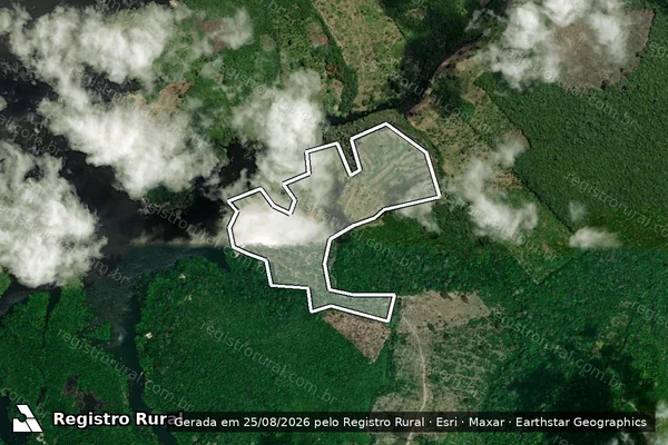 Imagem de satélite de Infração da Flora em Parintins - AM
