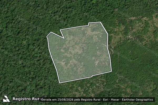 Imagem de satélite de Infração Ambiental em Caracaraí - RR