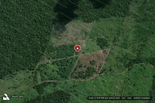 Imagem de satélite — Embargo IBAMA — Infração da Flora - Manaus/AM
