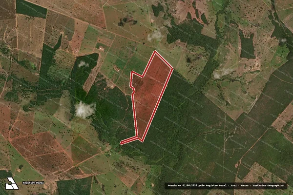 Imagem de satélite de Infração da Flora em São Miguel do Araguaia - GO