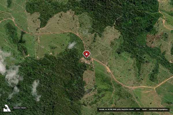 Imagem de satélite de Infração Ambiental em Itupiranga - PA (marcador da localização)