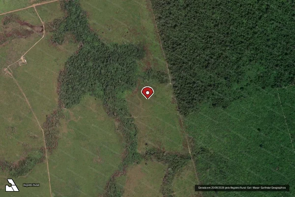 Imagem de satélite de Infração da Flora em Altamira - PA (marcador da localização)
