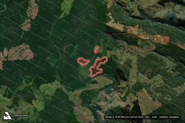 Imagem de satélite de Infração da Flora em Coronel Domingos Soares - PR