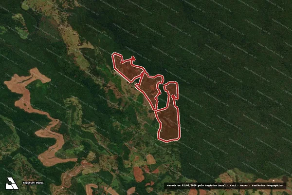 Imagem de satélite — Embargo IBAMA — Infração da Flora — Espigão Alto Do Iguaçu/PR