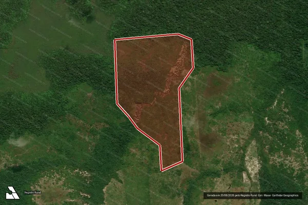 Imagem de satélite de Infração da Flora em Porto Velho - RO