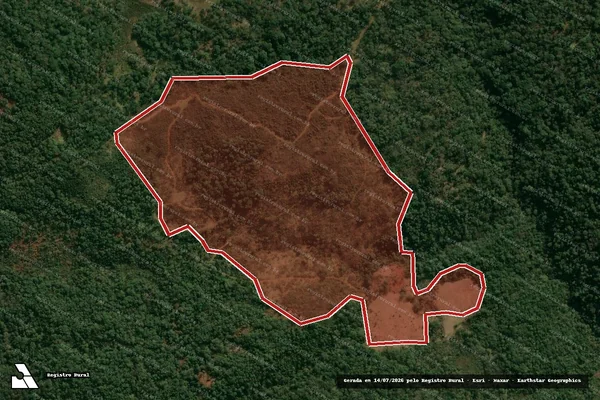 Imagem de satélite de Infração da Flora em Inácio Martins - PR